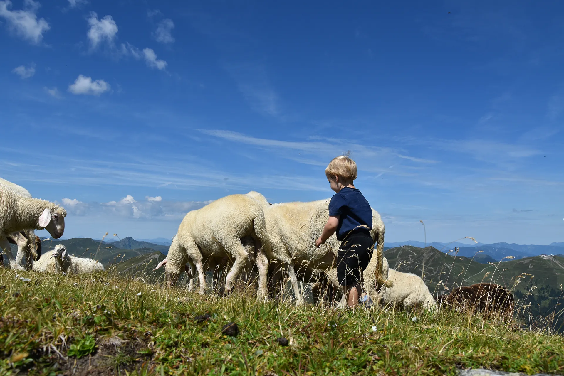 Urlaub am Wiesberghof – Natur und Erholung im Salzburger Land